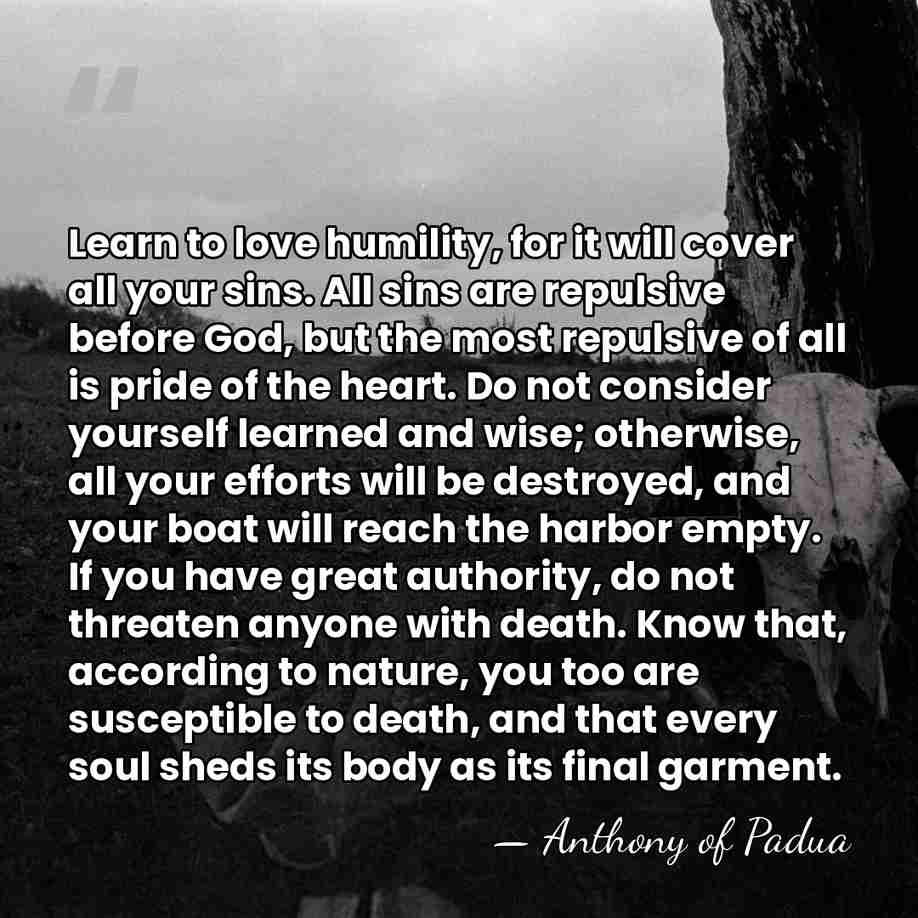 Learn to love humility, for it will cover all your sins. All&hellip; - Anthony of Padua