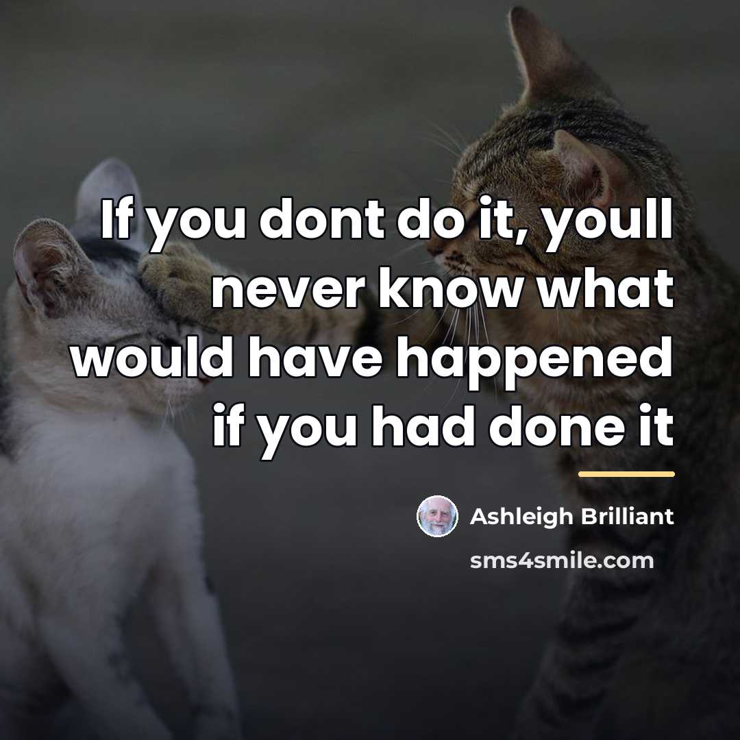 “If you dont do it, youll never know what would…” quote by Ashleigh Brilliant