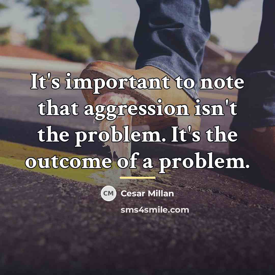 “It's important to note that aggression isn't the problem. It's…” quote by Cesar Millan