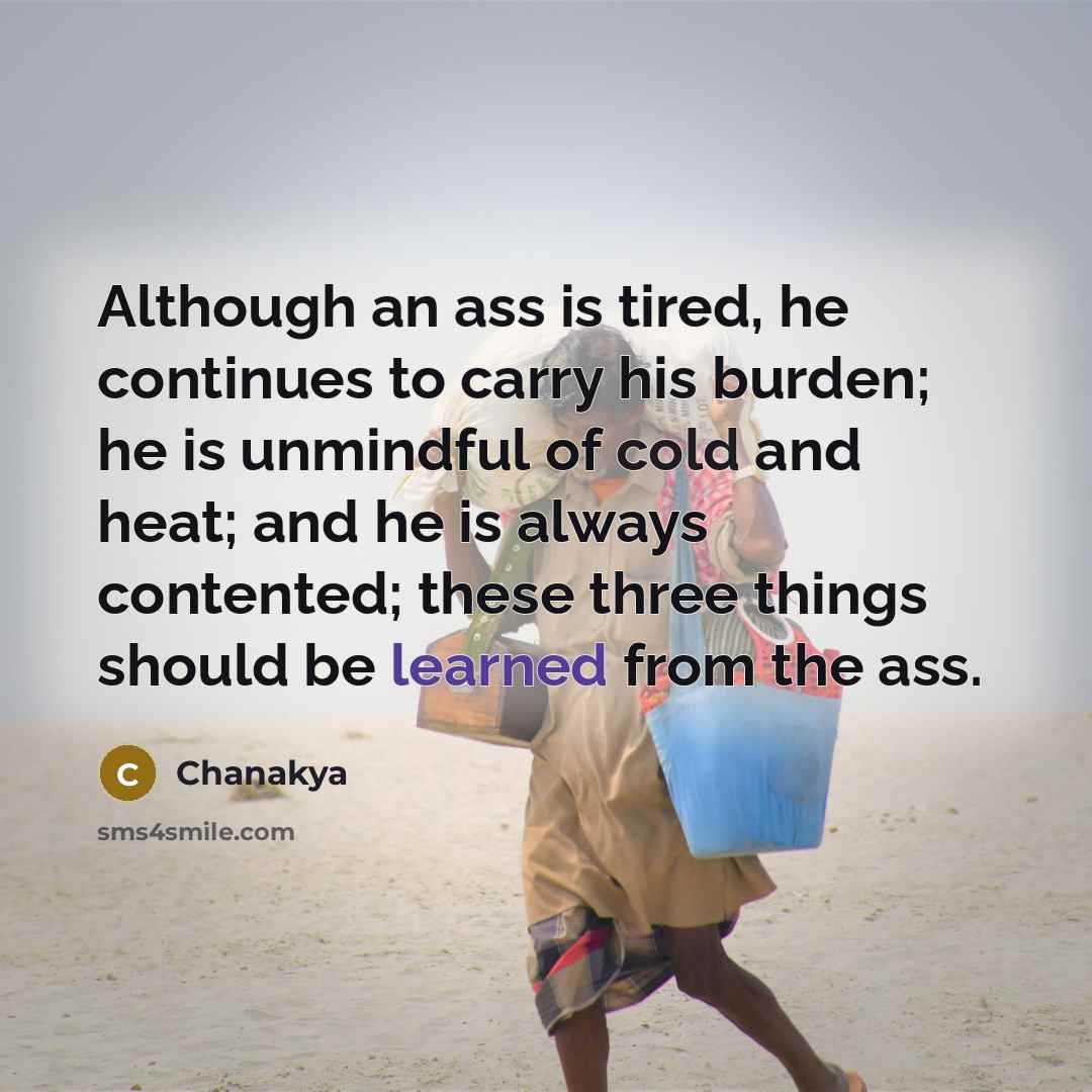 “Although an ass is tired, he continues to carry his…” quote by Chanakya
