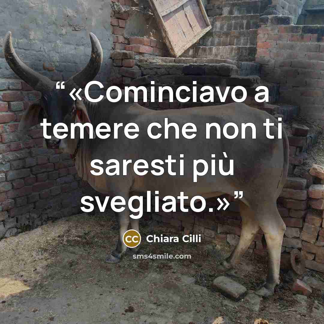 “Cominciavo a temere che non ti saresti più svegliato.” quote by Chiara Cilli