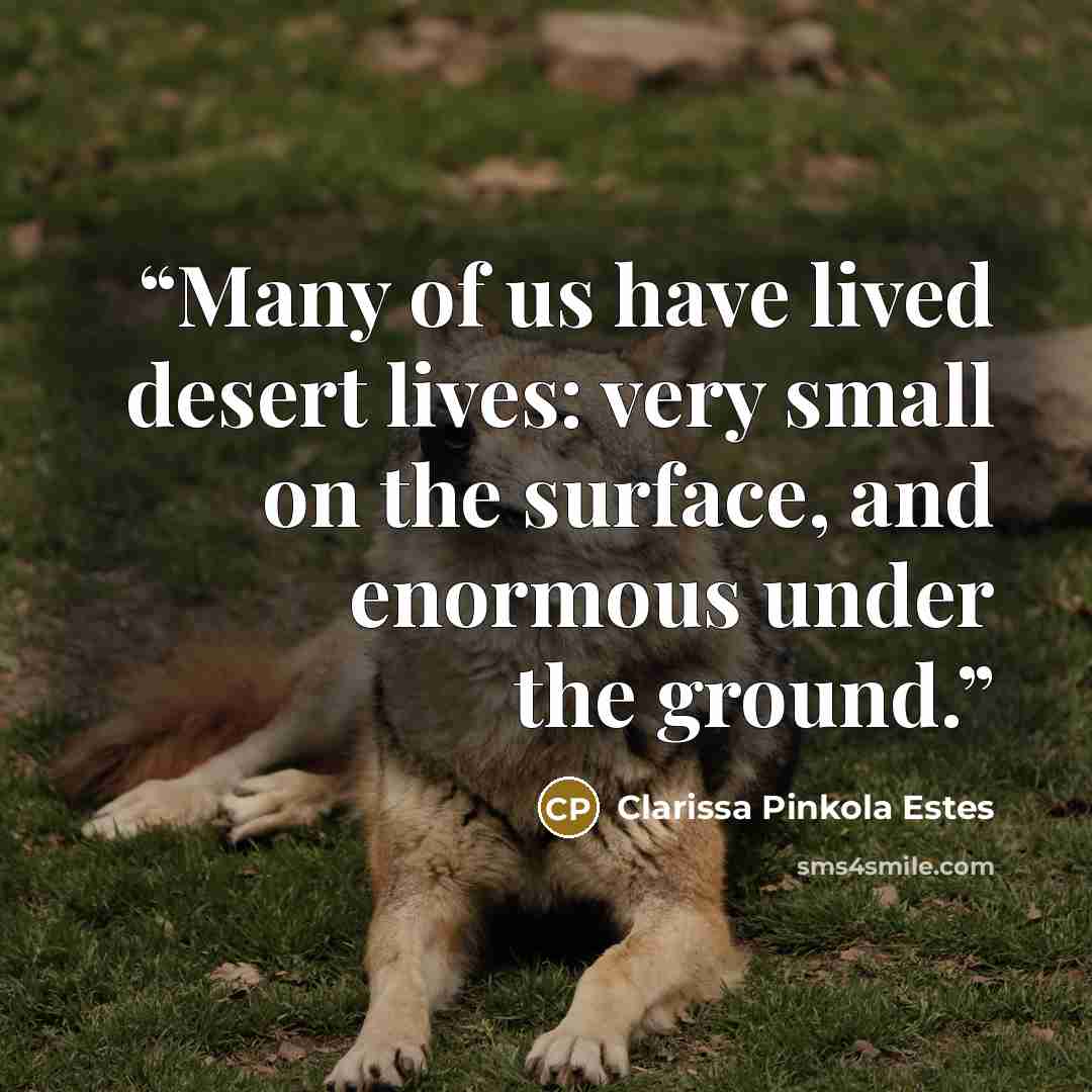 “Many of us have lived desert lives: very small on the surface, and enormous under the ground.” quote by Clarissa Pinkola Estés