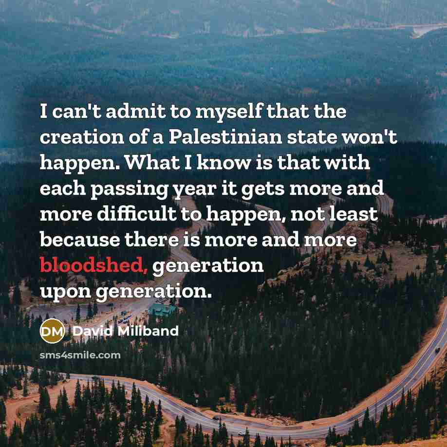 “I can't admit to myself that the creation of a…” quote by David Miliband