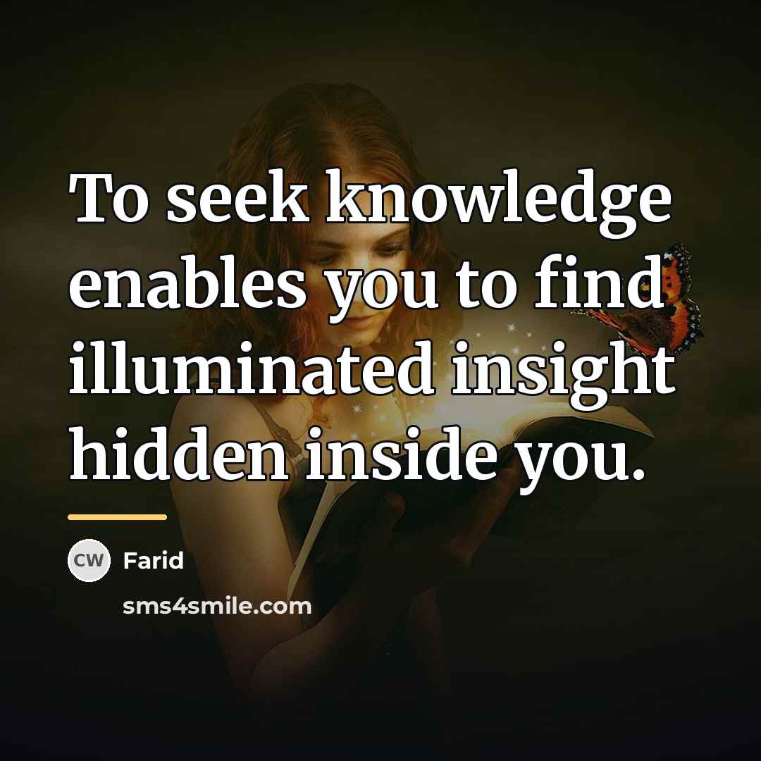 “To seek knowledge enables you to find illuminated insight hidden…” quote by Farid