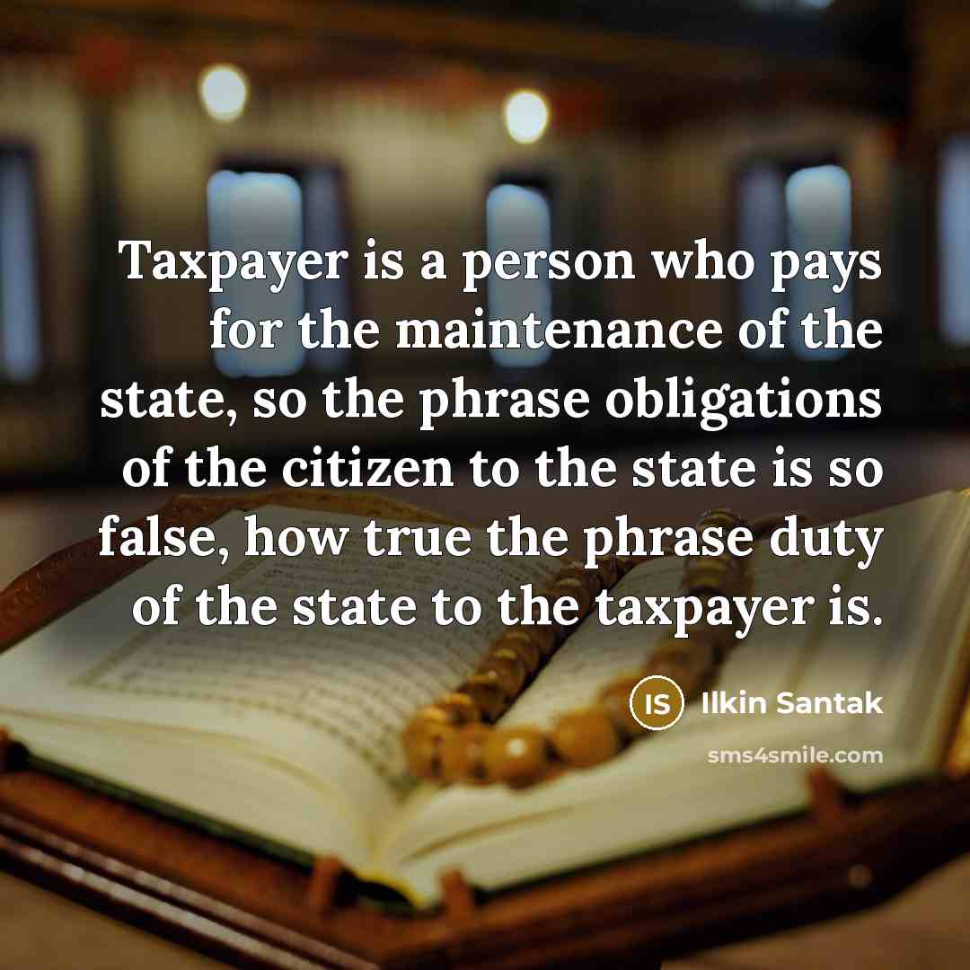 “Taxpayer is a person who pays for the maintenance of…” quote by Ilkin Santak