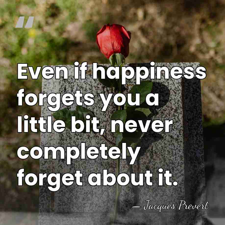 Even if happiness forgets you a little bit, never completely forget about&hellip; - Jacques Prevert