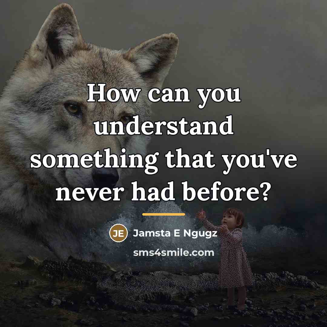 “How can you understand something that you've never had before?…” quote by Jamsta E Ngugz