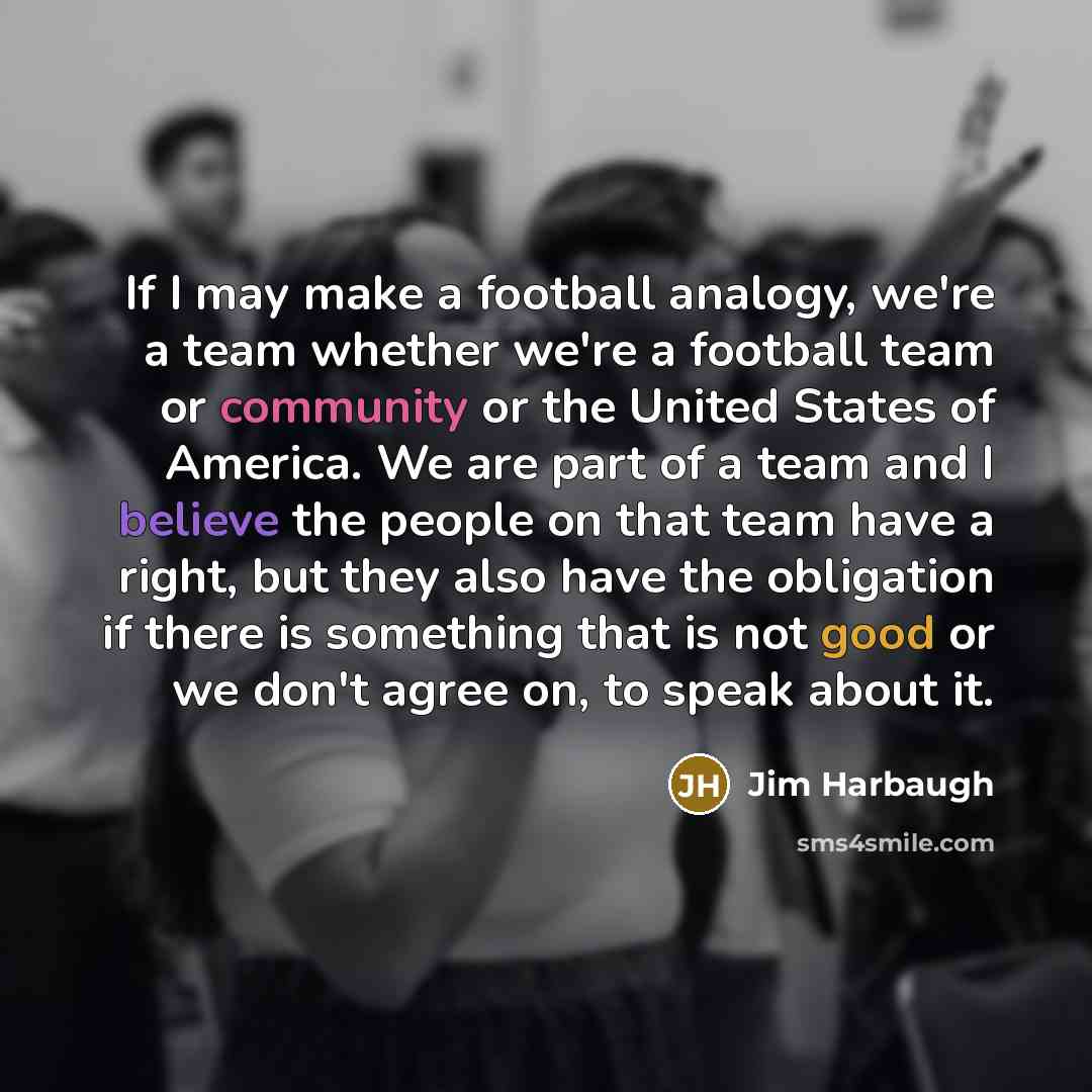 “If I may make a football analogy, we're a team…” quote by Jim Harbaugh