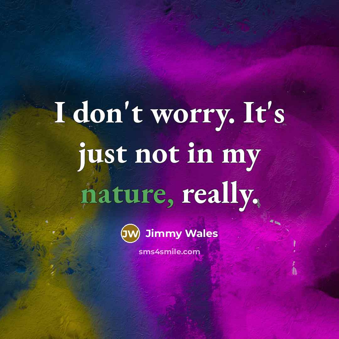 “I don't worry. It's just not in my nature, really.…” quote by Jimmy Wales