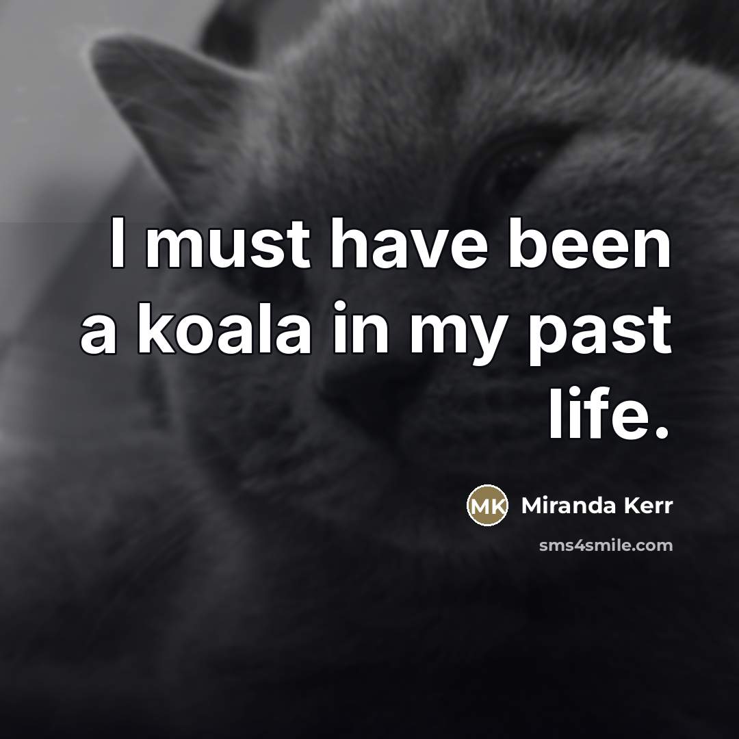 “I must have been a koala in my past life.…” quote by Miranda Kerr