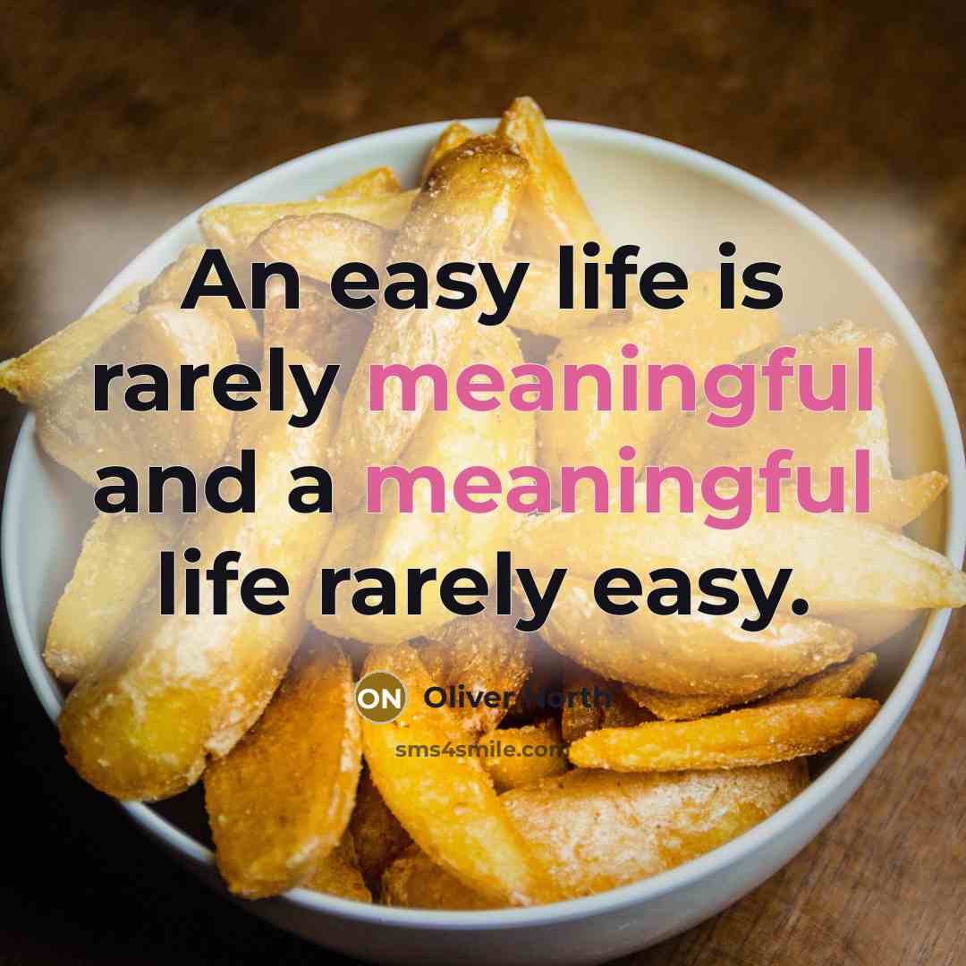 “An easy life is rarely meaningful and a meaningful life rarely easy.” quote by Oliver North