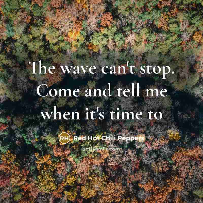 “The wave can't stop. Come and tell me when it's time to” quote by Red Hot Chili Peppers