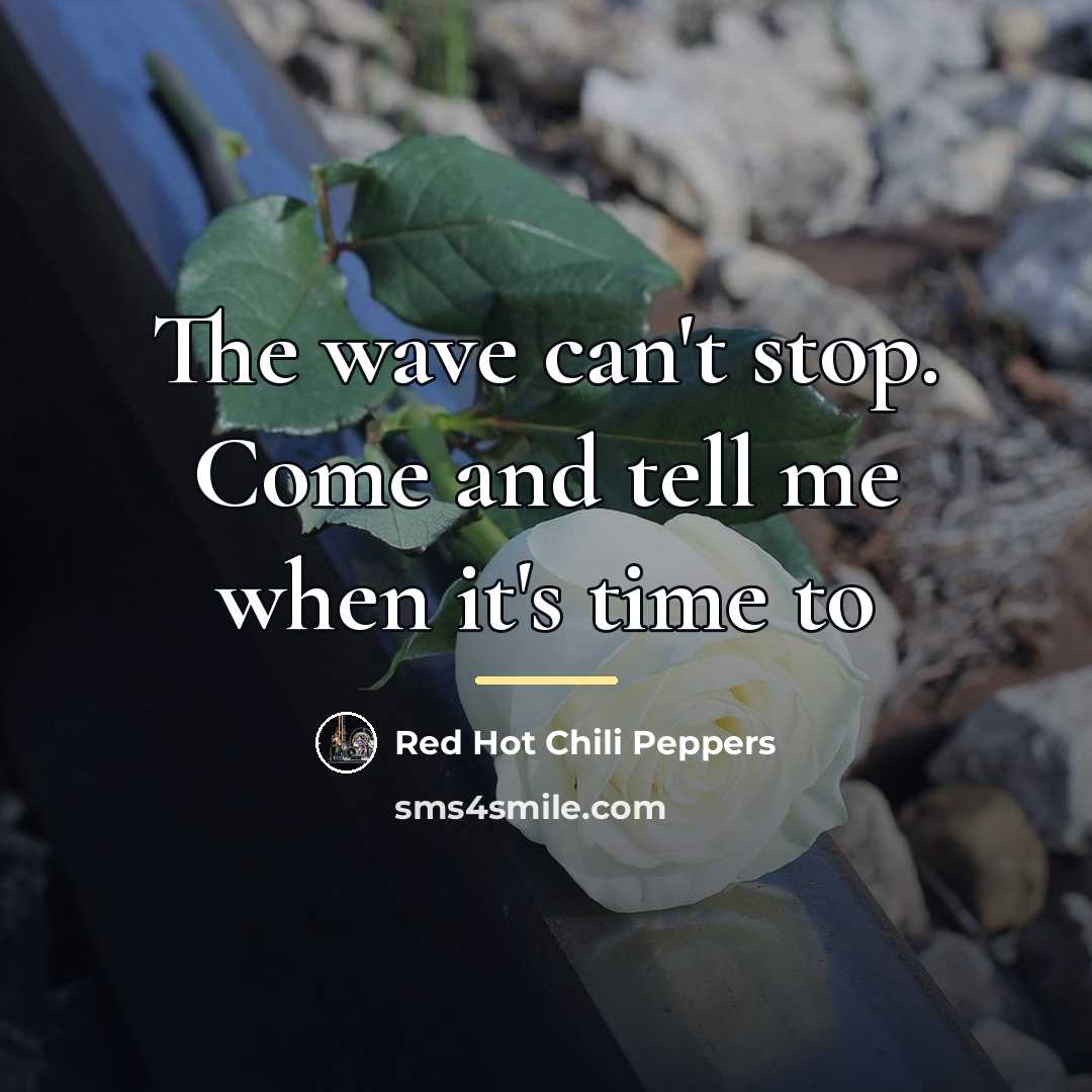“The wave can't stop. Come and tell me when it's…” quote by Red Hot Chili Peppers