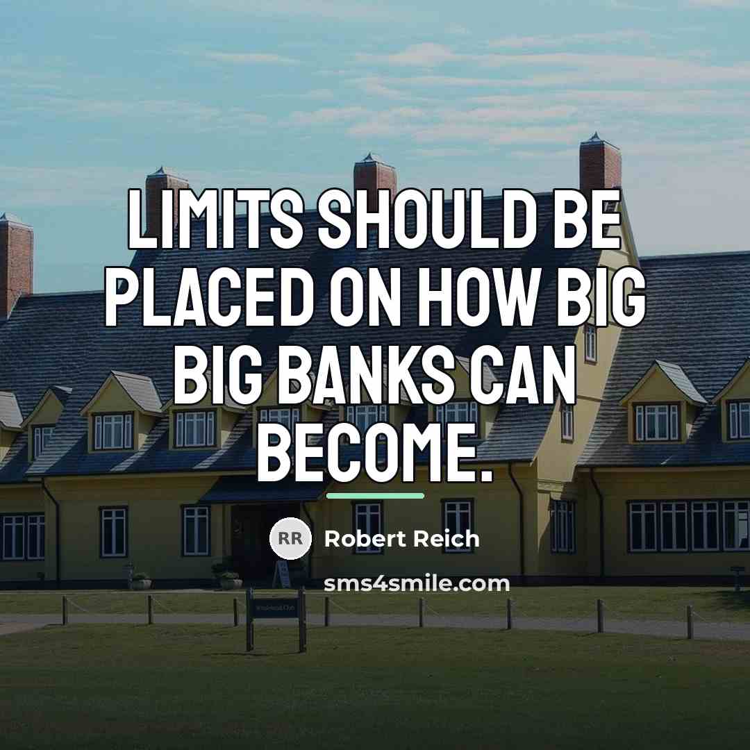 “Limits should be placed on how big big banks can…” quote by Robert Reich