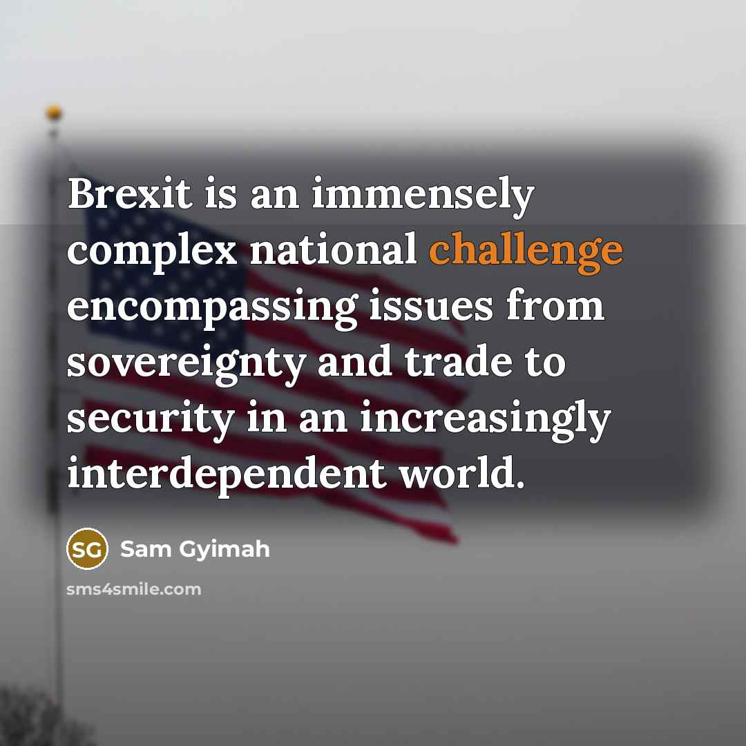 “Brexit is an immensely complex national challenge encompassing issues from…” quote by Sam Gyimah