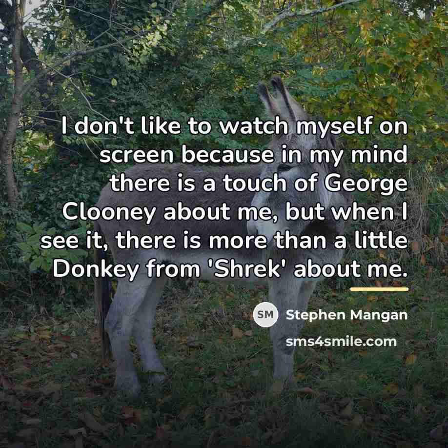 “I don't like to watch myself on screen because in…” quote by Stephen Mangan