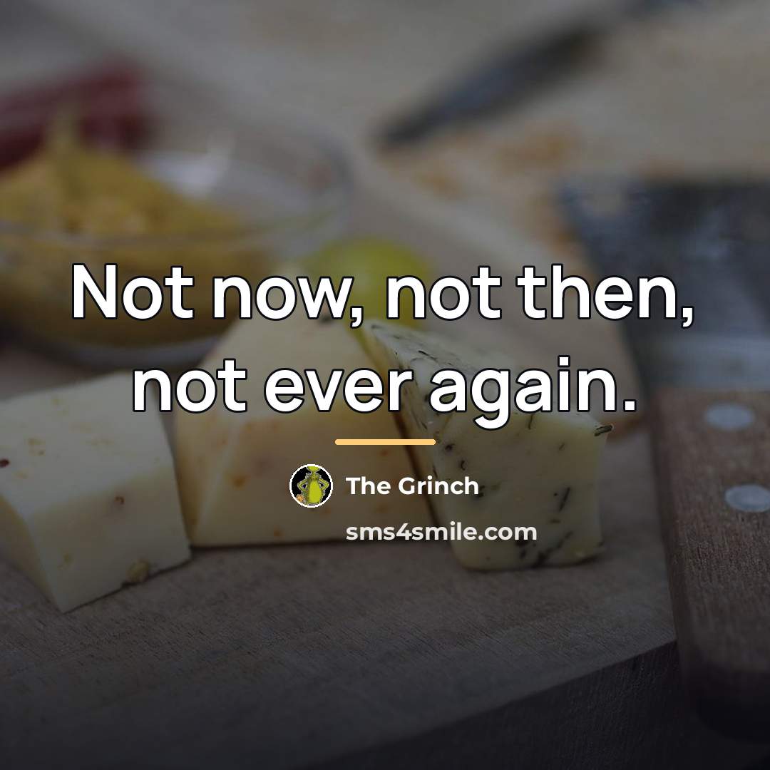 “Not now, not then, not ever again.…” quote by The Grinch