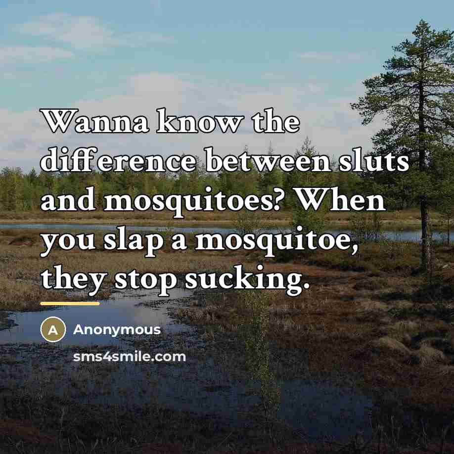 “Wanna know the difference between sluts and mosquitoes? When you…” quote by Anonymous