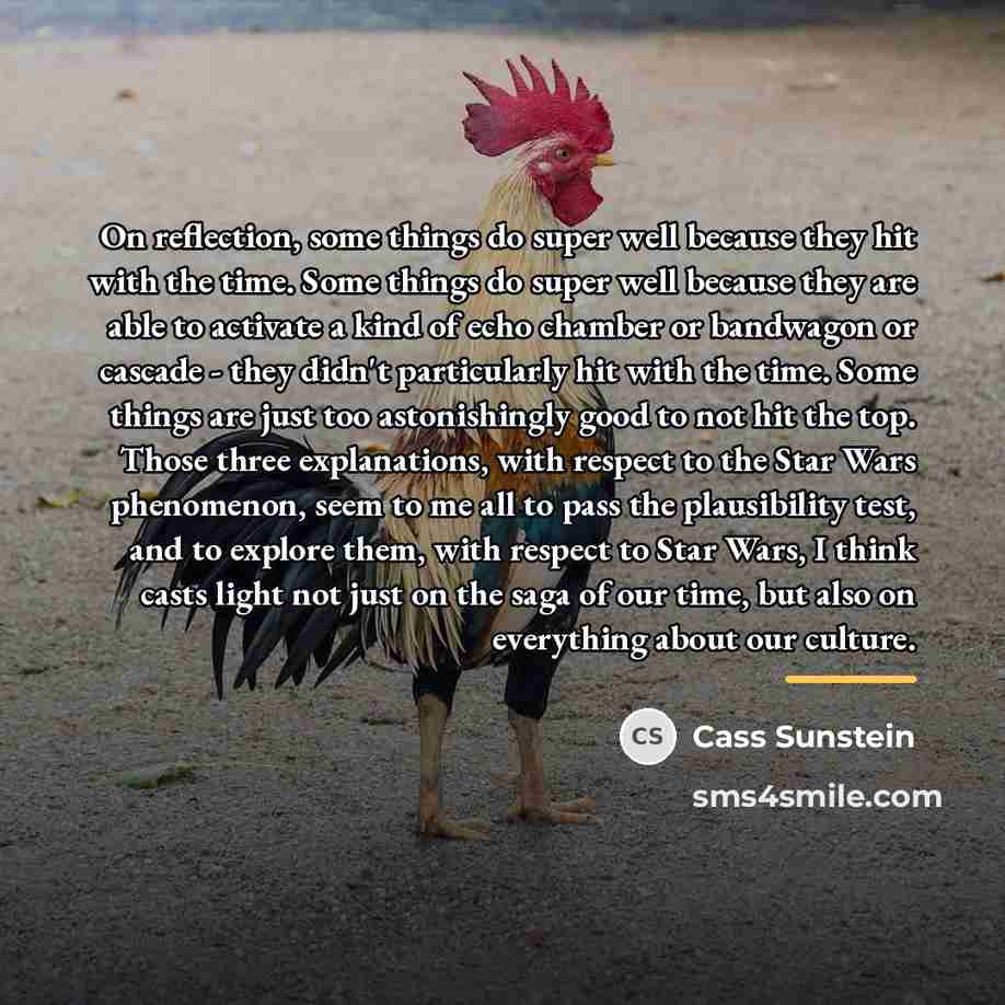 “On reflection, some things do super well because they hit…” quote by Cass Sunstein