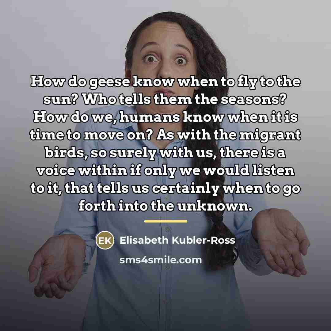 “How do geese know when to fly to the sun?…” quote by Elisabeth Kubler-Ross