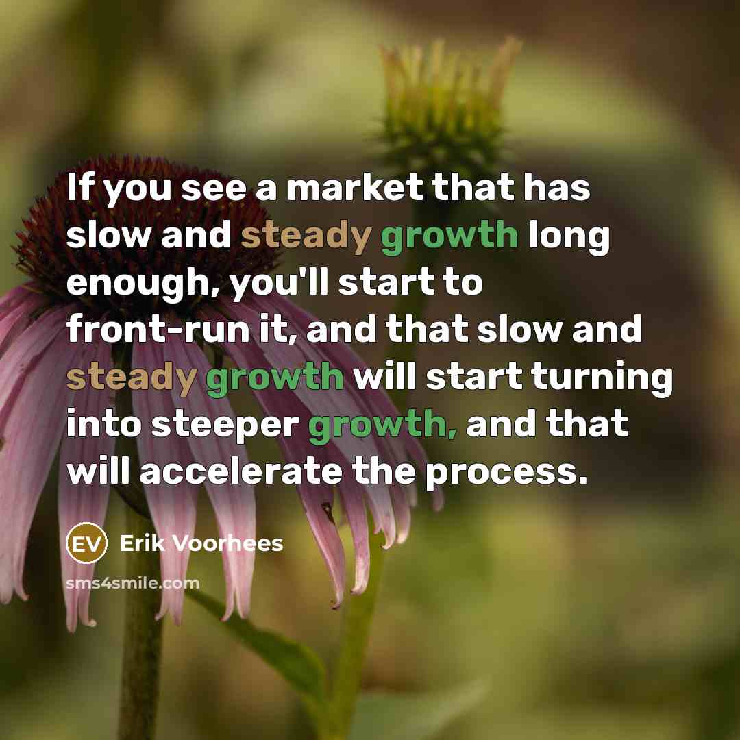 “If you see a market that has slow and steady…” quote by Erik Voorhees