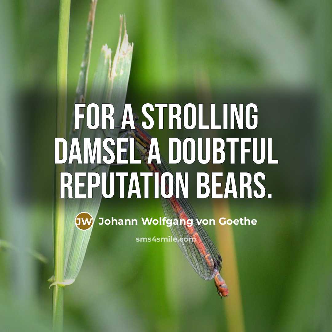 “For a strolling damsel a doubtful reputation bears.…” quote by Johann Wolfgang von Goethe