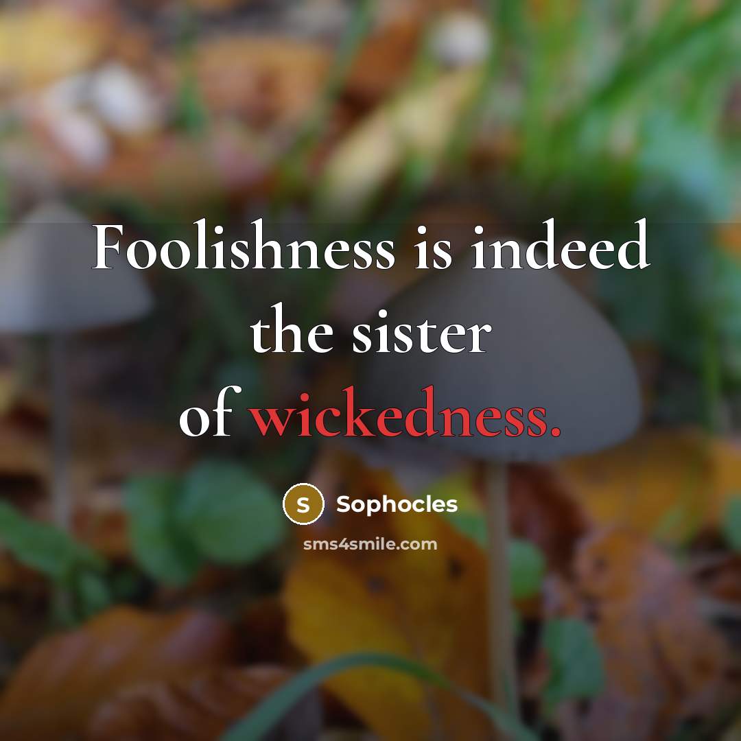 “Foolishness is indeed the sister of wickedness.…” quote by Sophocles