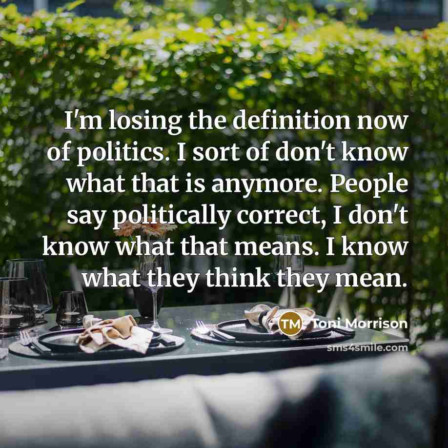 “I'm losing the definition now of politics. I sort of…” quote by Toni Morrison