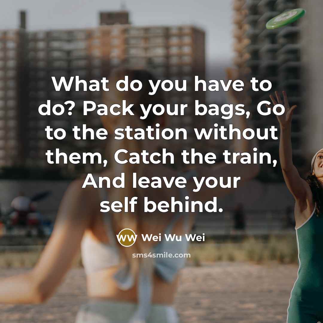 “What do you have to do? Pack your bags, Go…” quote by Wei Wu Wei