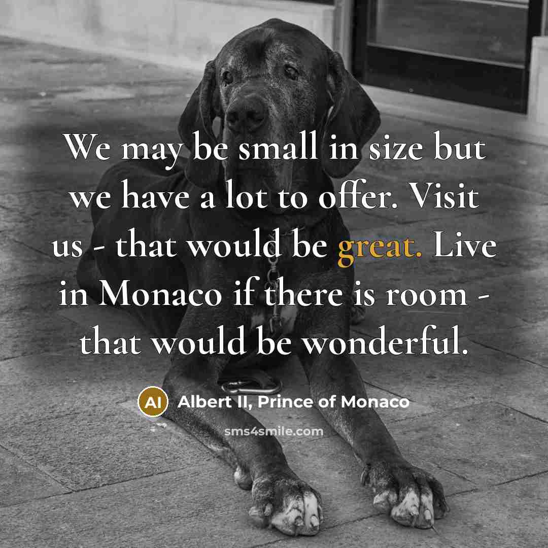 “We may be small in size but we have a…” quote by Albert II, Prince of Monaco