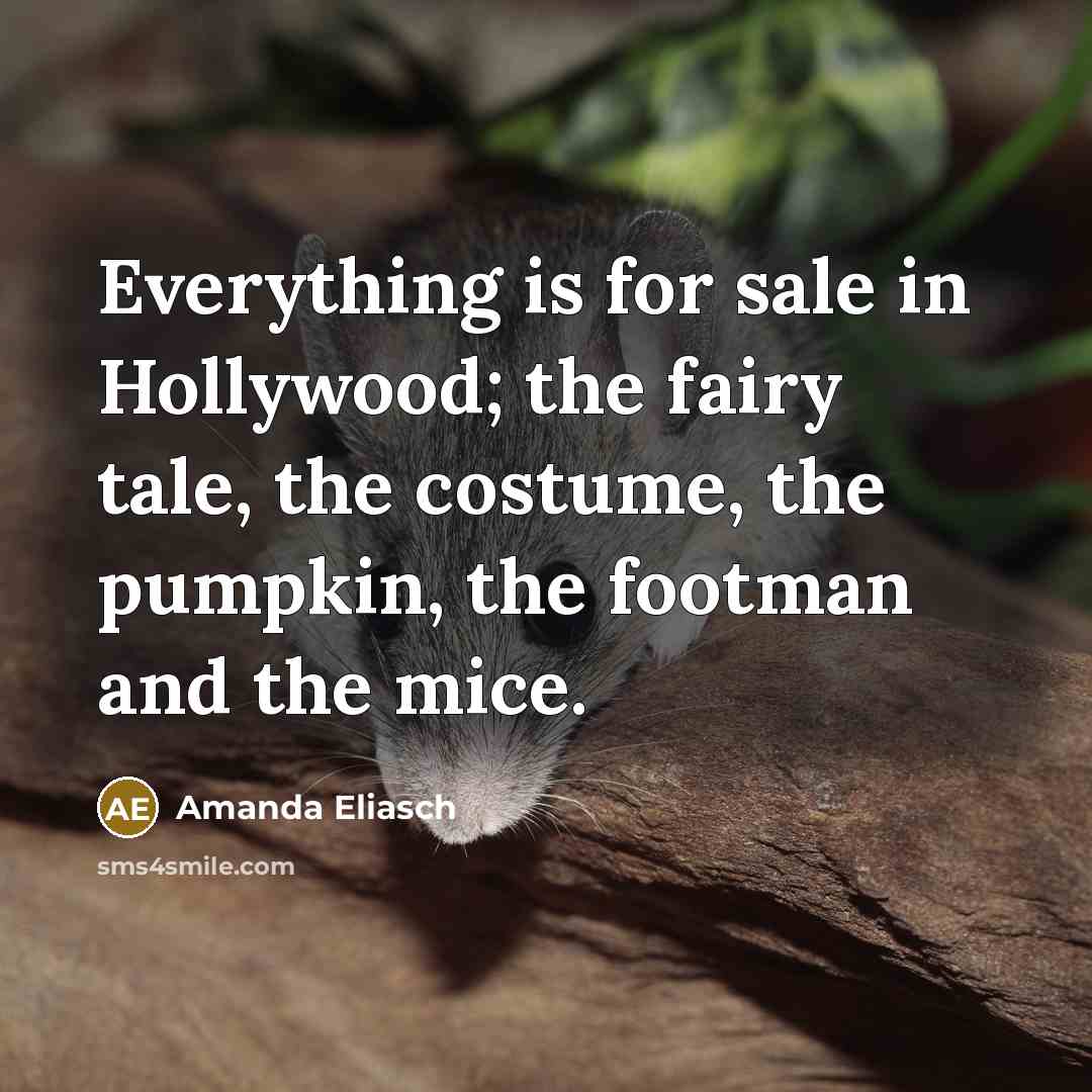 “Everything is for sale in Hollywood; the fairy tale, the…” quote by Amanda Eliasch
