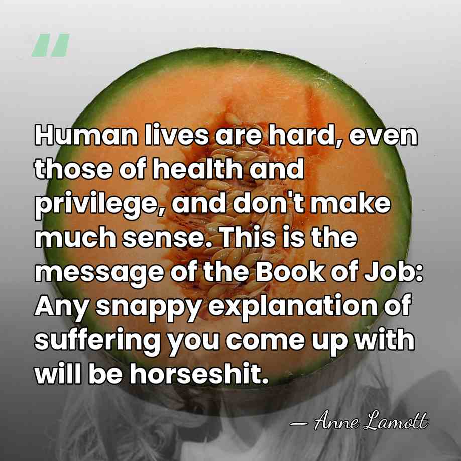 Human lives are hard, even those of health and privilege, and don't&hellip; - Anne Lamott