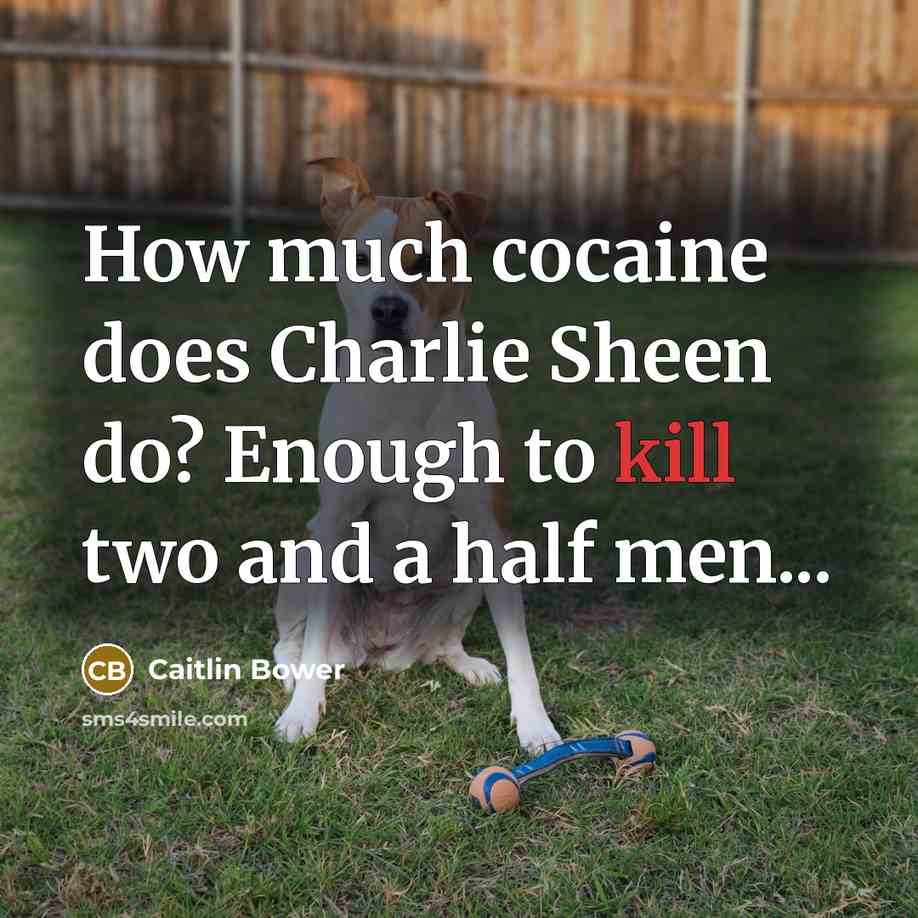 “How much cocaine does Charlie Sheen do? Enough to kill two and a half men...” quote by Caitlin Bower
