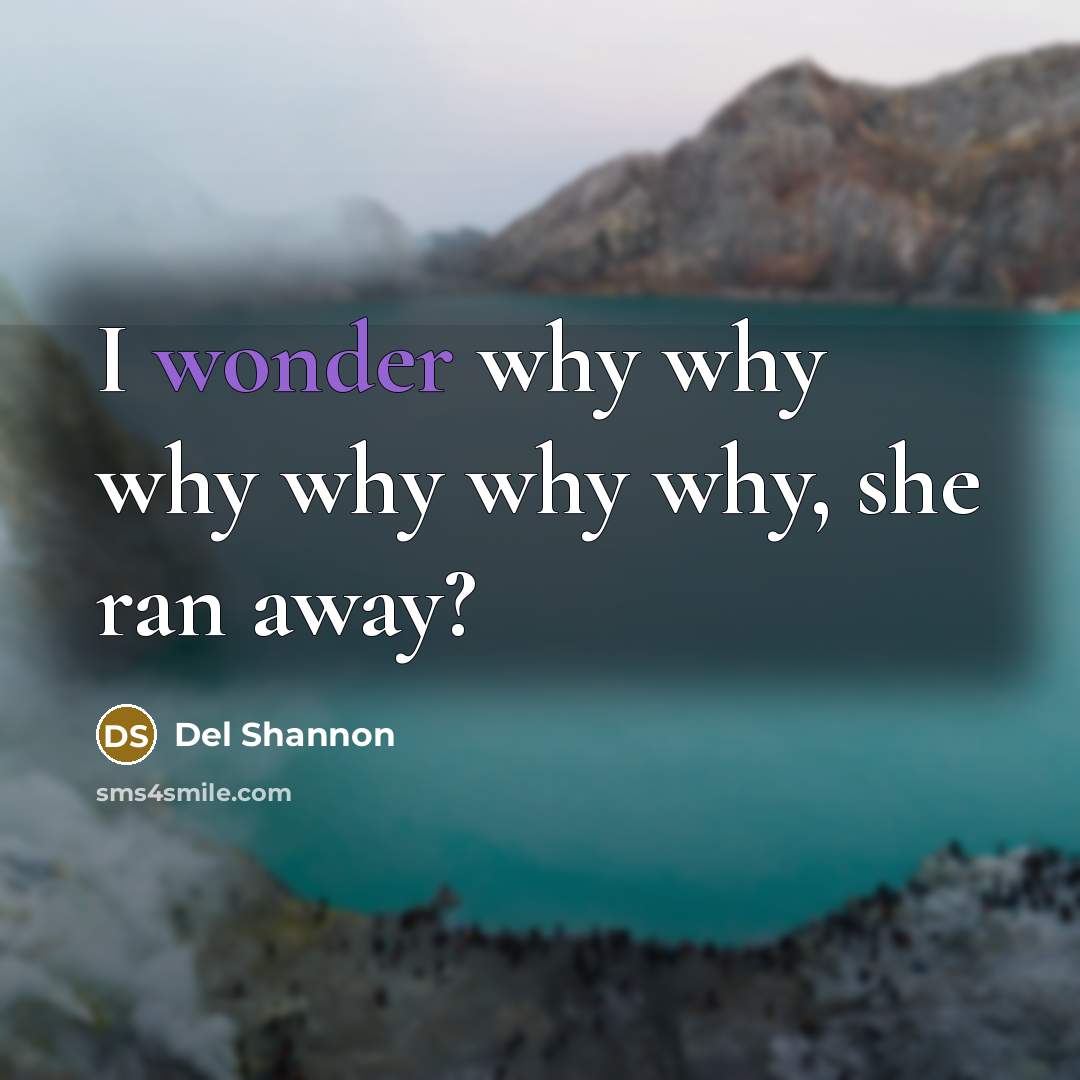“I wonder why why why why why why, she ran away?” quote by Del Shannon
