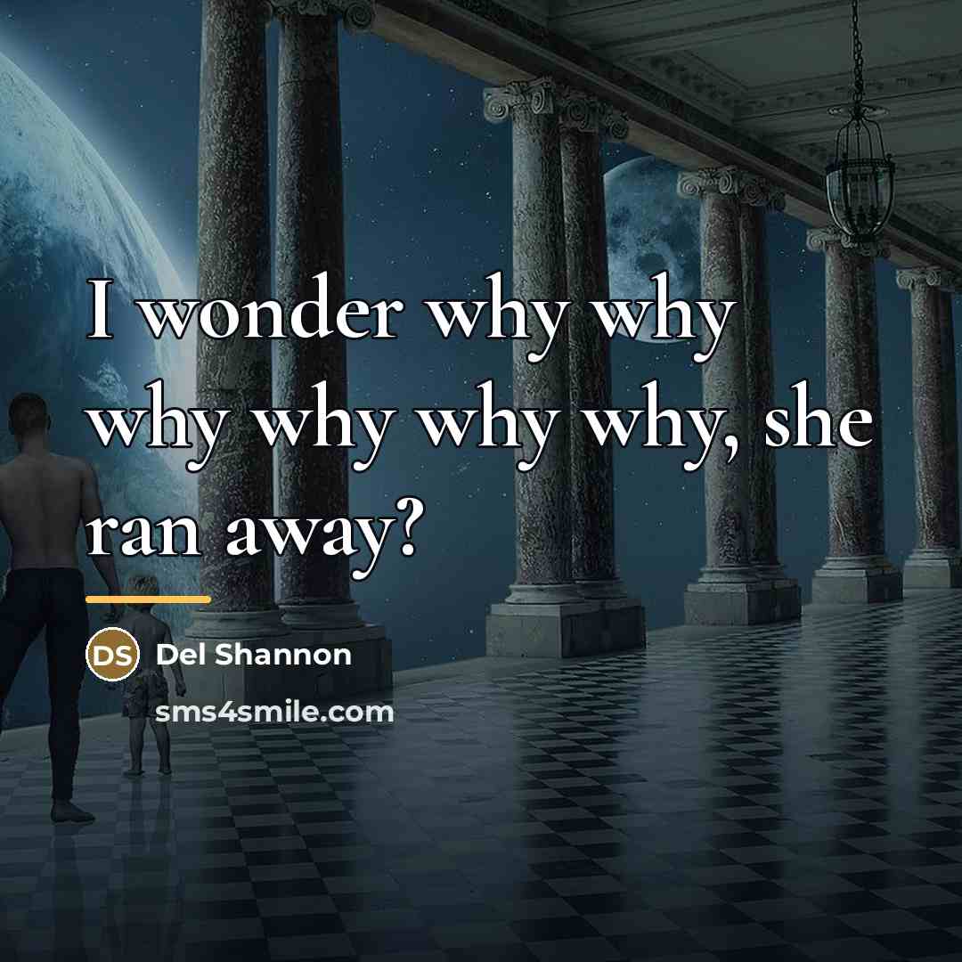 “I wonder why why why why why why, she ran…” quote by Del Shannon