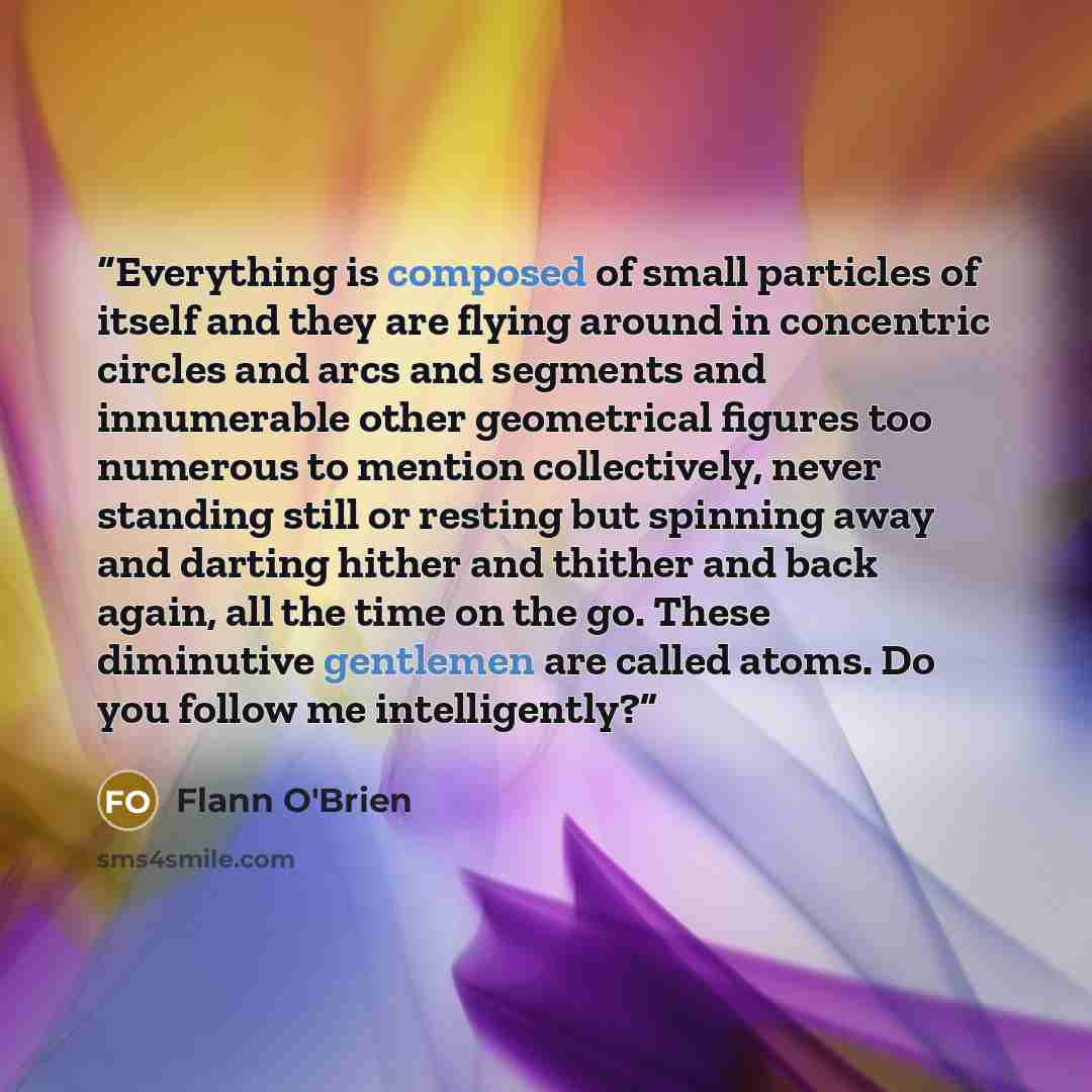 “Everything is composed of small particles of itself and they are flying around in concentric circles and arcs and segments and innumerable other geometrical figures too numerous to mention collectively, never standing still or resting but spinning away and darting hither and thither and back…” quote by Flann O'Brien