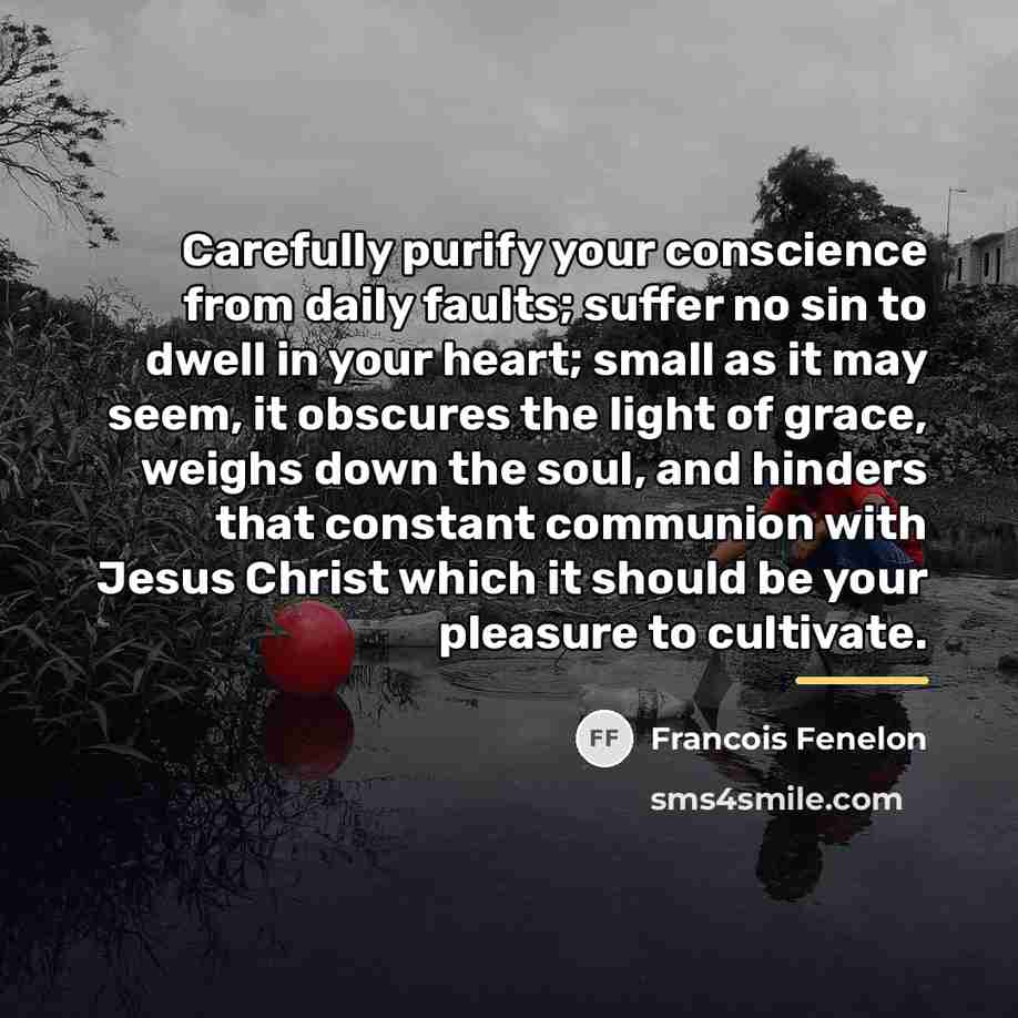 “Carefully purify your conscience from daily faults; suffer no sin…” quote by Francois Fenelon