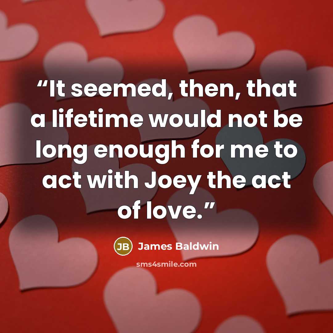 “It seemed, then, that a lifetime would not be long enough for me to act with Joey the act of love.” quote by James Baldwin