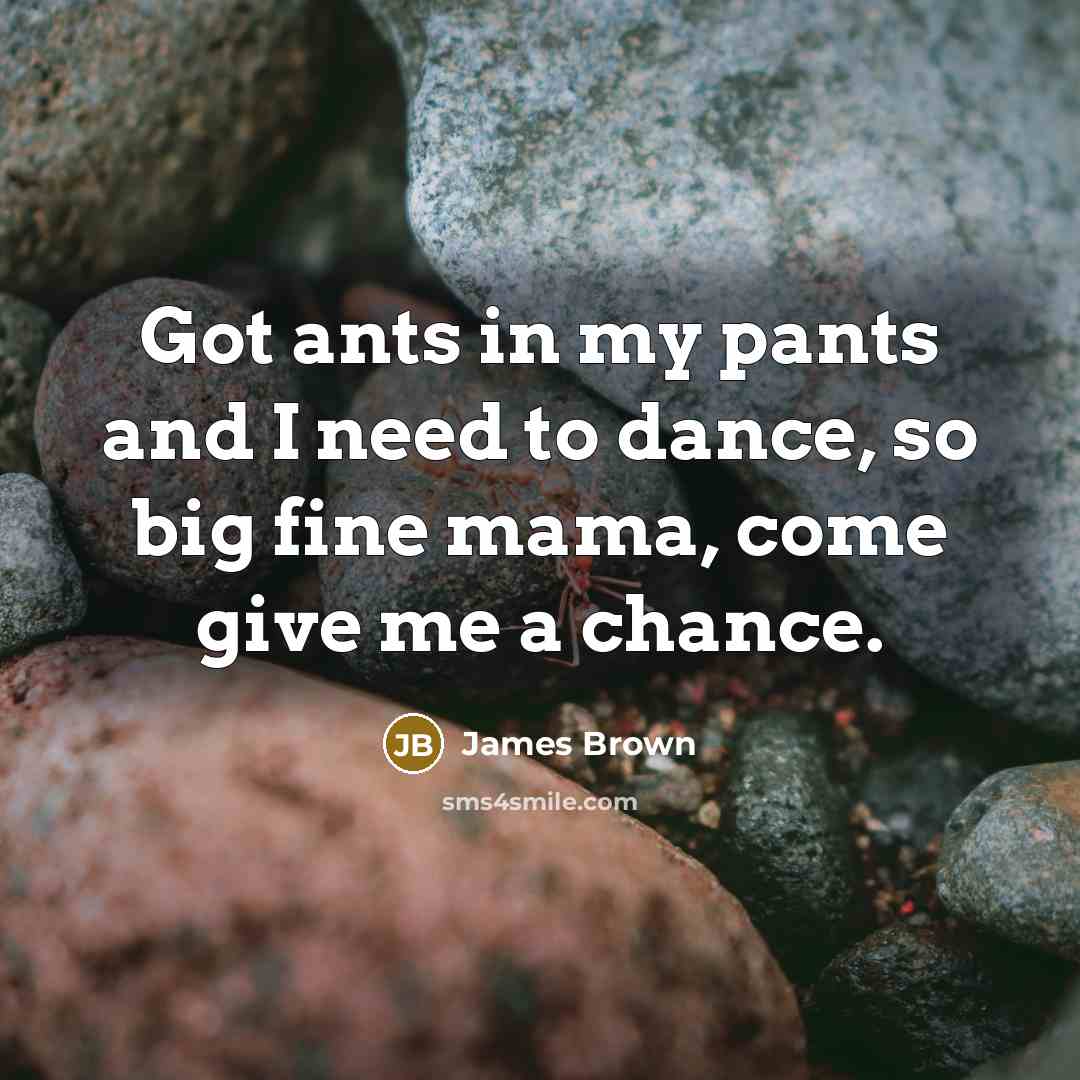 “Got ants in my pants and I need to dance,…” quote by James Brown