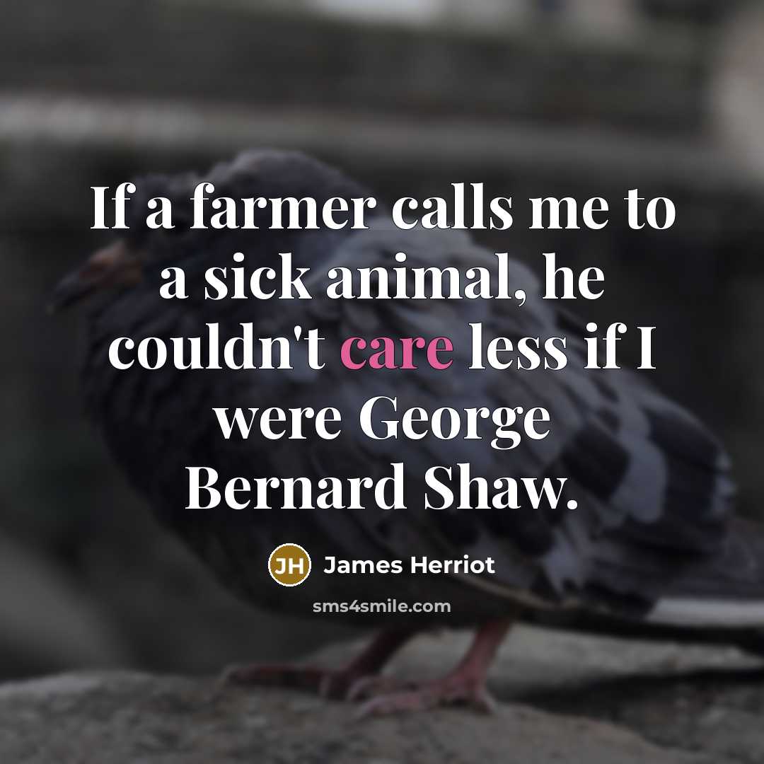“If a farmer calls me to a sick animal, he…” quote by James Herriot