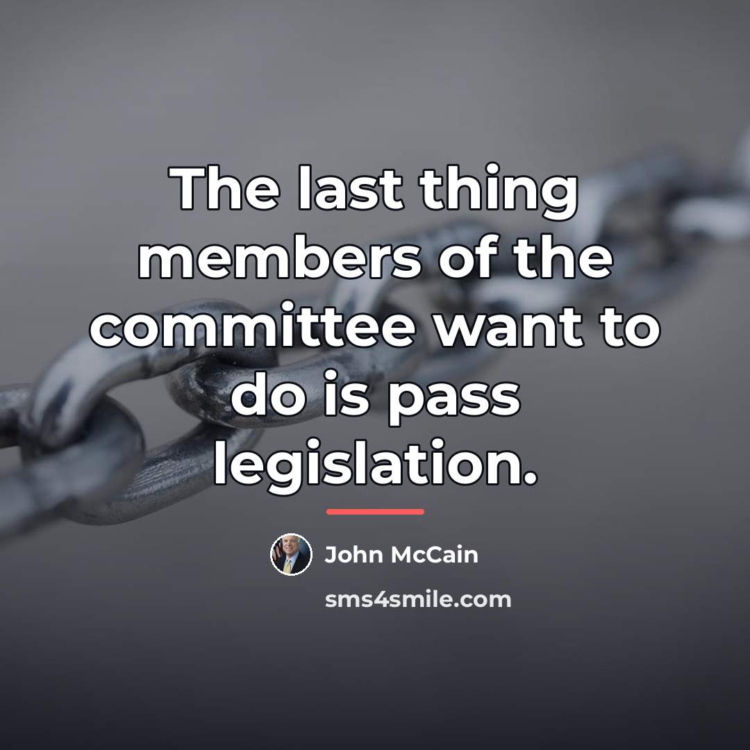 “The last thing members of the committee want to do…” quote by John McCain