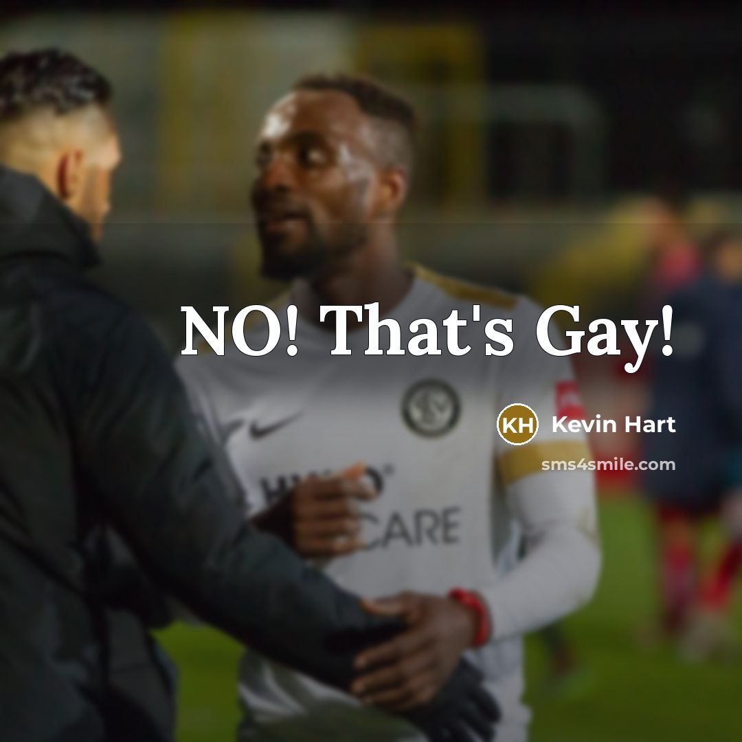 “NO! That's Gay!…” quote by Kevin Hart