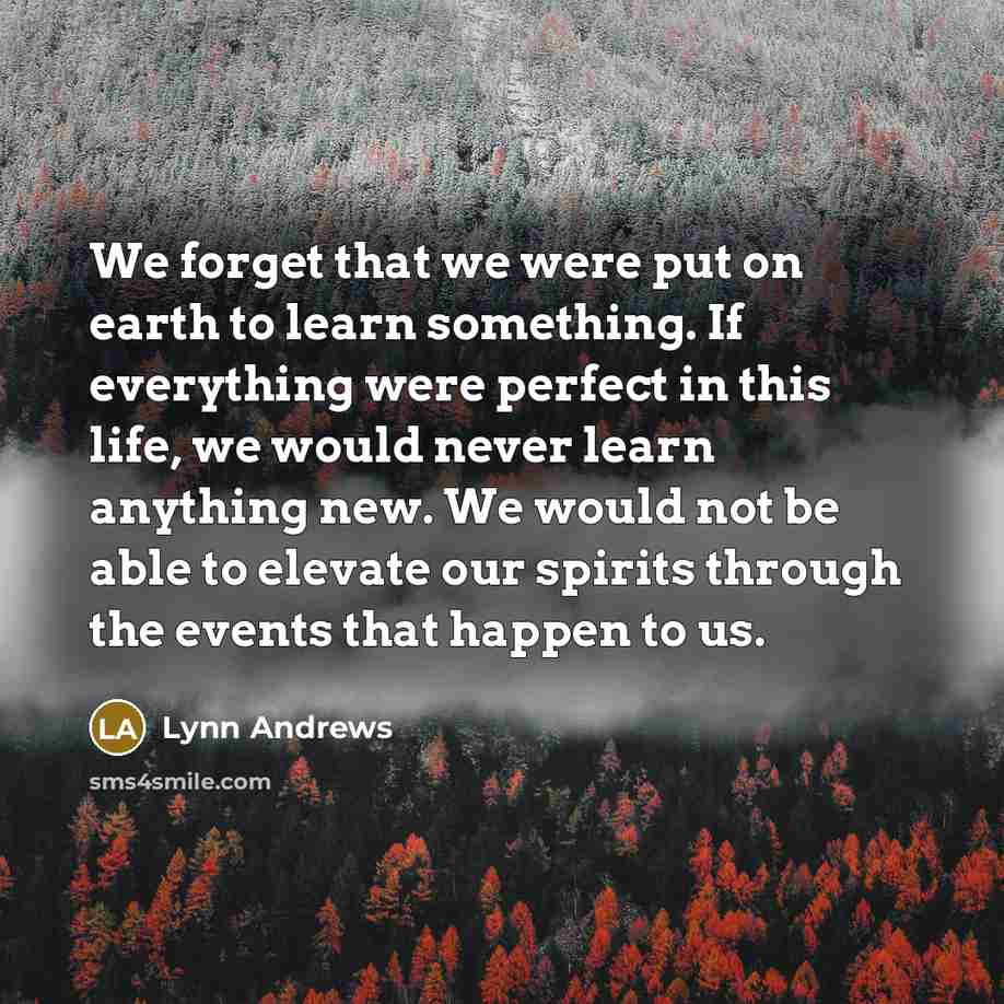 “We forget that we were put on earth to learn…” quote by Lynn Andrews