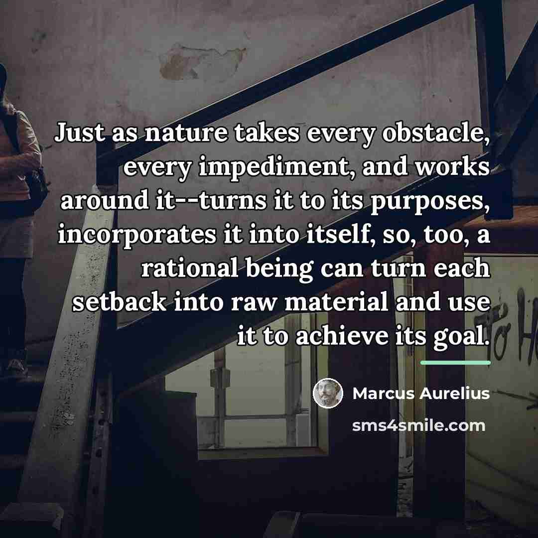 “Just as nature takes every obstacle, every impediment, and works…” quote by Marcus Aurelius
