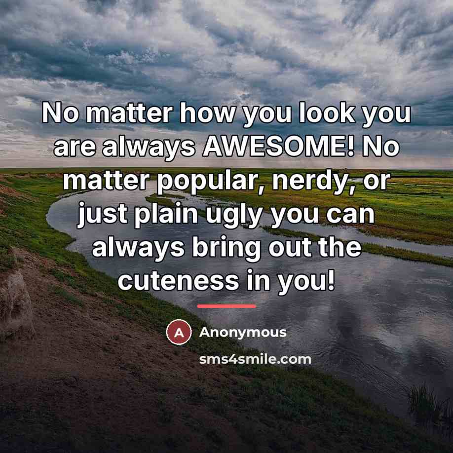 “No matter how you look you are always AWESOME! No…” quote by Anonymous