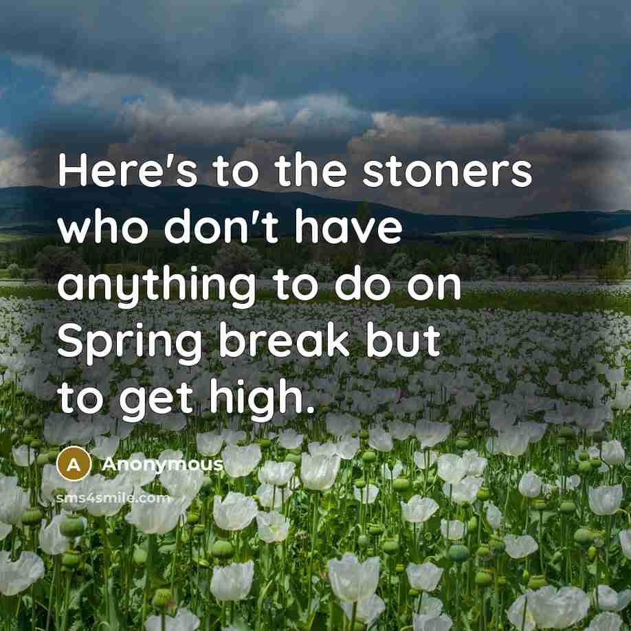 “Here's to the stoners who don't have anything to do…” quote by Anonymous