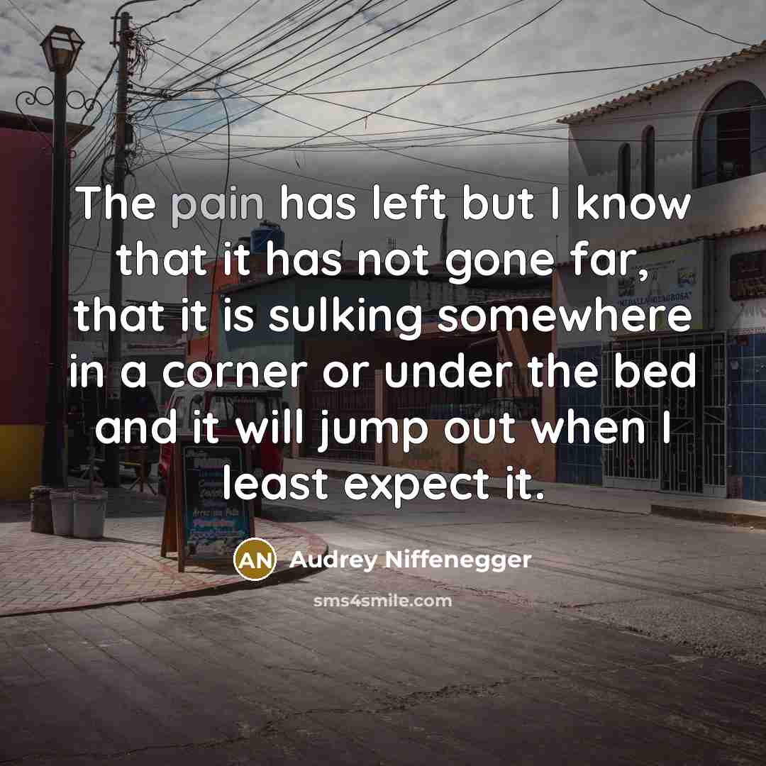 “The pain has left but I know that it has…” quote by Audrey Niffenegger