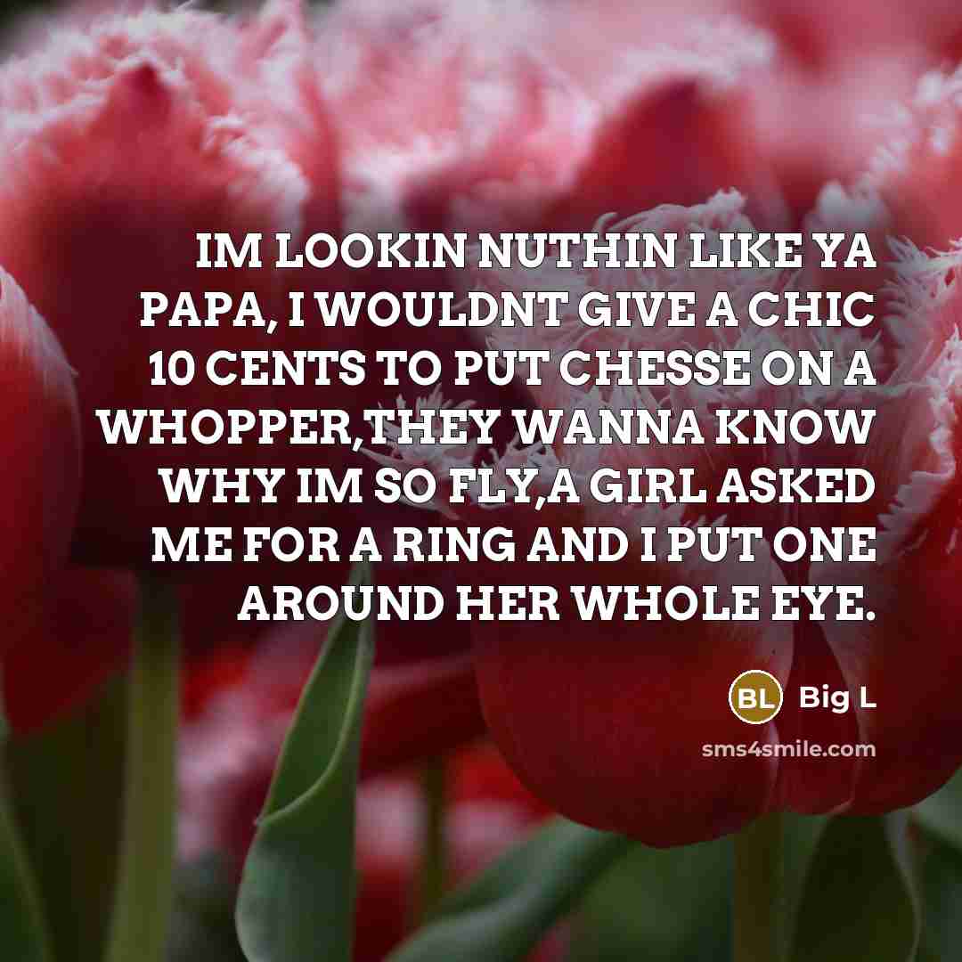 “IM LOOKIN NUTHIN LIKE YA PAPA, I WOULDNT GIVE A…” quote by Big L
