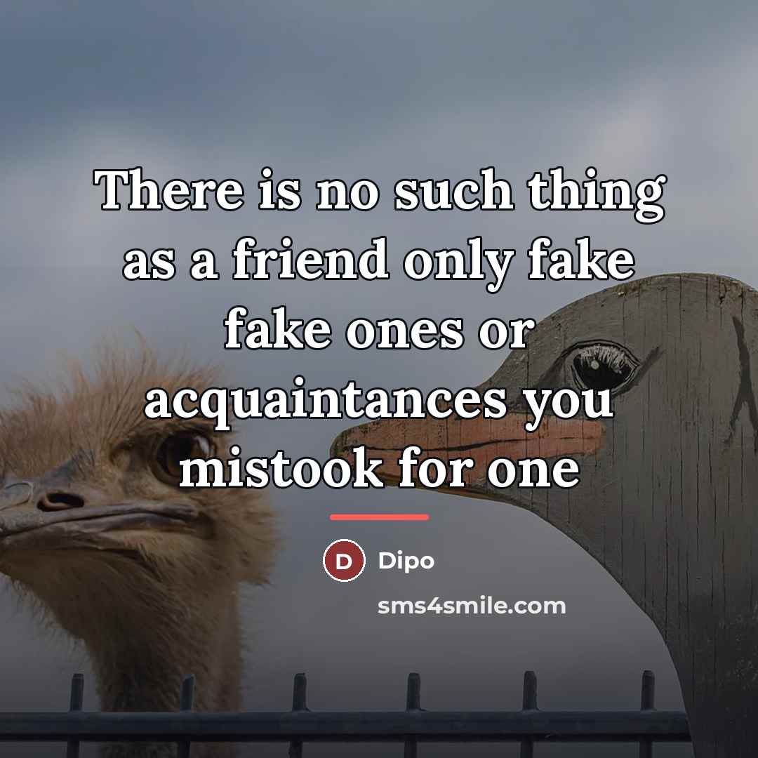 “There is no such thing as a friend only fake…” quote by Dipo