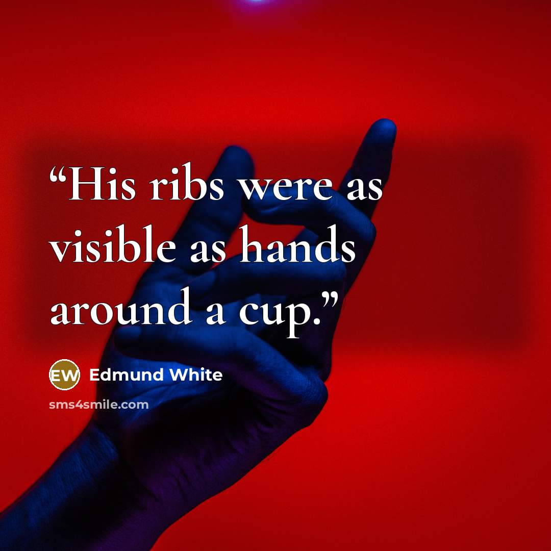 “His ribs were as visible as hands around a cup.” quote by Edmund White